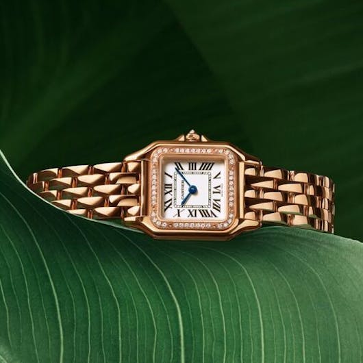 new cartier womens panthere watch