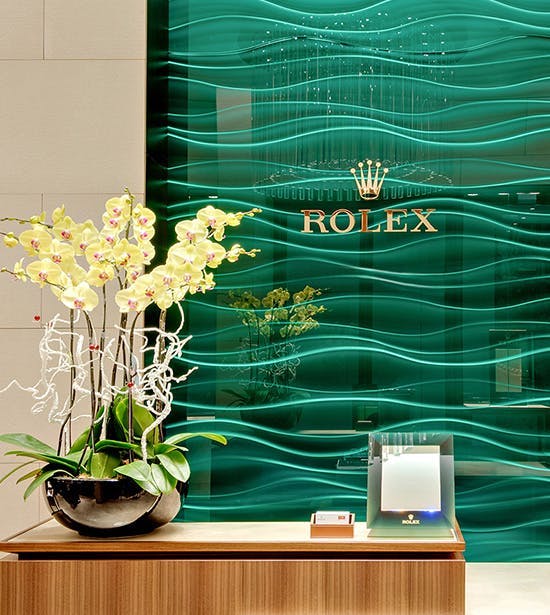 Entry to Rolex showroom featuring traditional green background with gold logo and a potted multi-orchid.